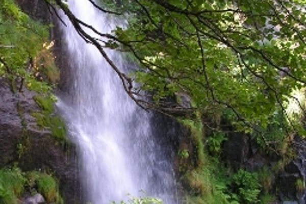 Hospedería El Pico del Fraile (Cobreros)